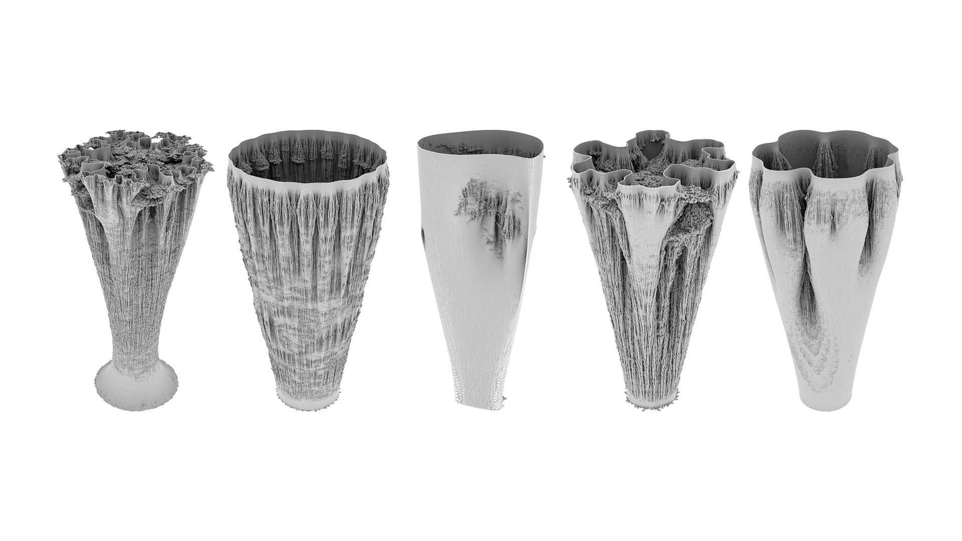 Vase Forms, 2019